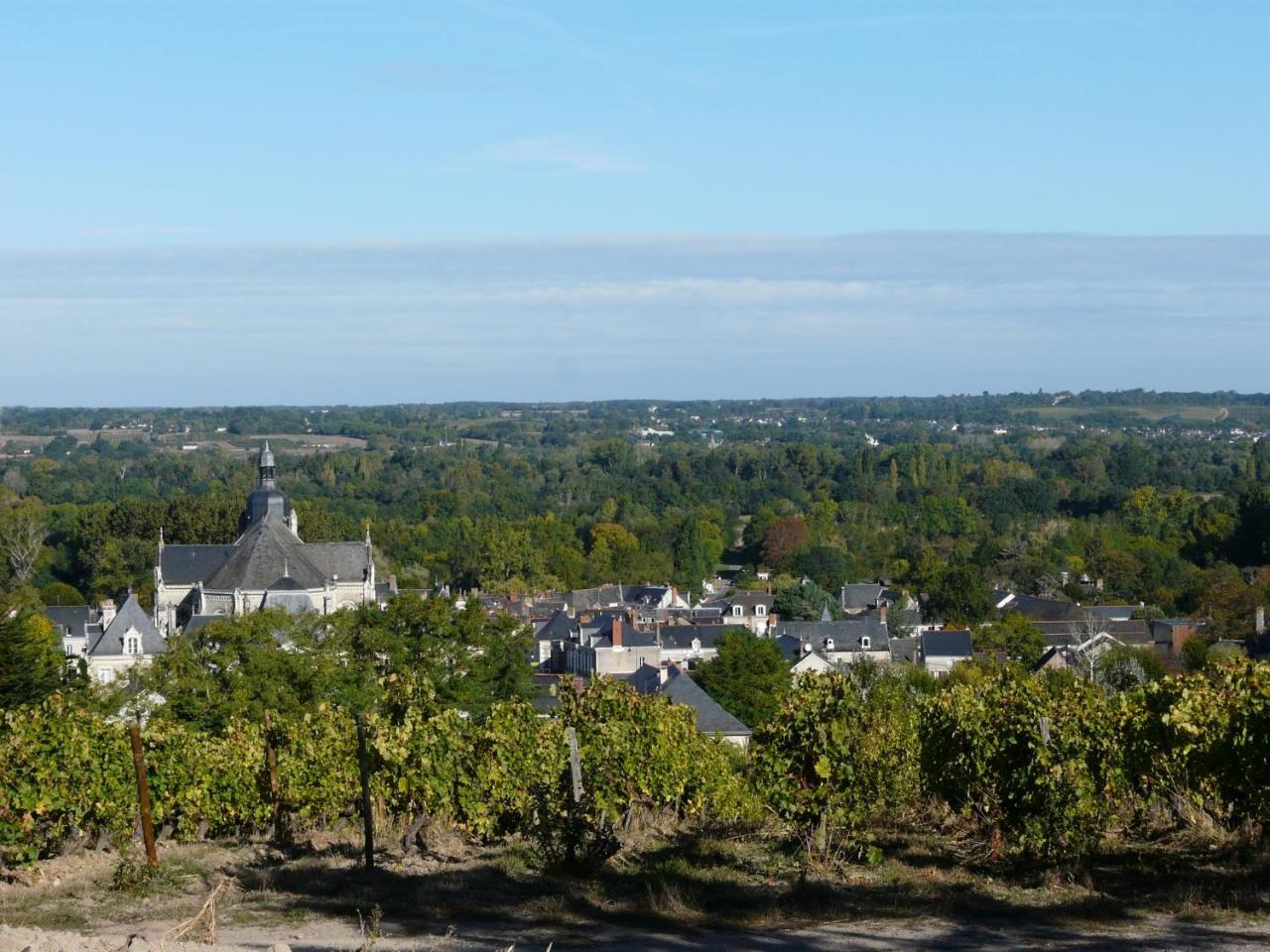Clos Sainte Catherine Rochefort-sur-Loire Экстерьер фото